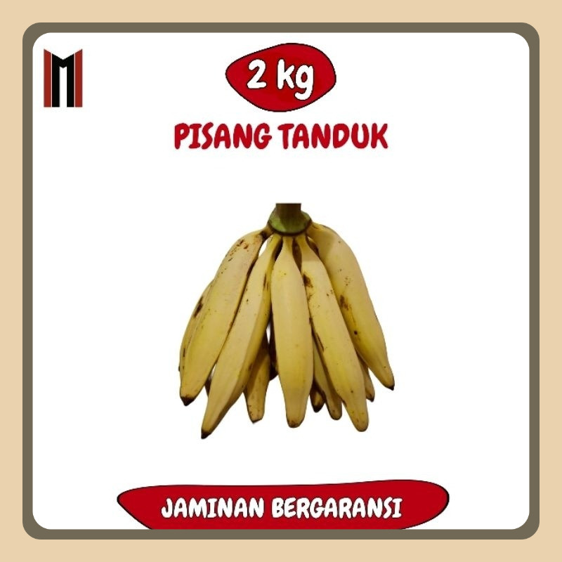 

(2KG) PISANG TANDUK/BYAR JUMBO ASLI PATIAYAM