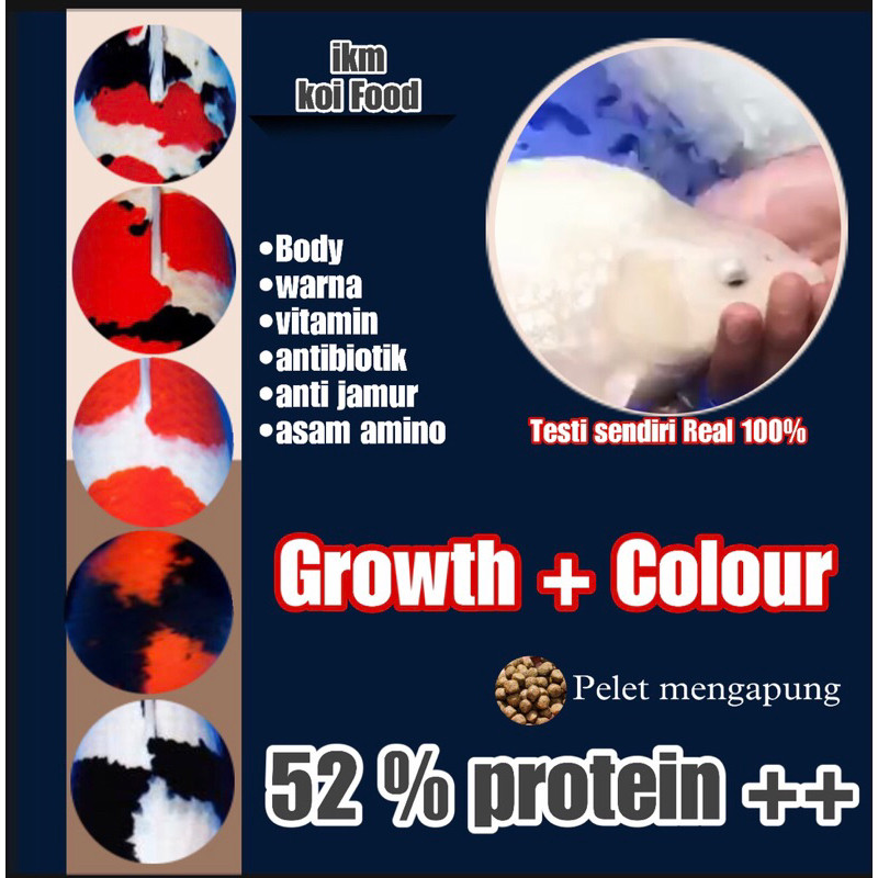 Pakan koi growth and colour - pelet koi protein tinggi - pakan colour CO