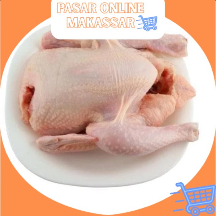 

Ayam Potong Utuh Berat +-1,2 kg / Ayam Ras