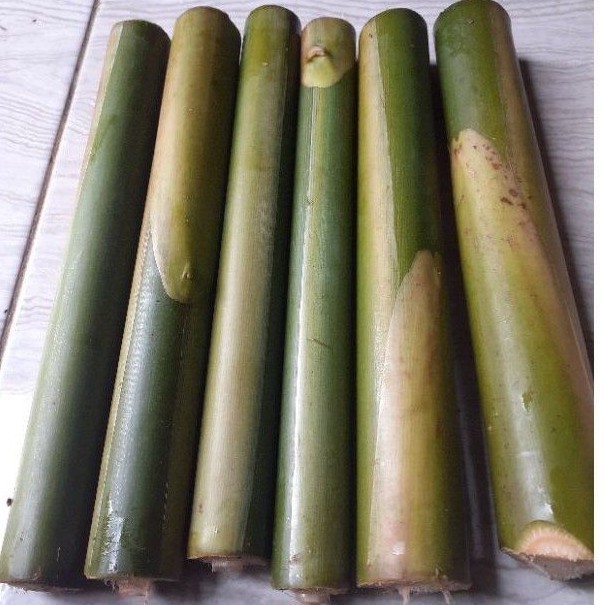 

batang pohon kecombrang/ honje 1kg fresh