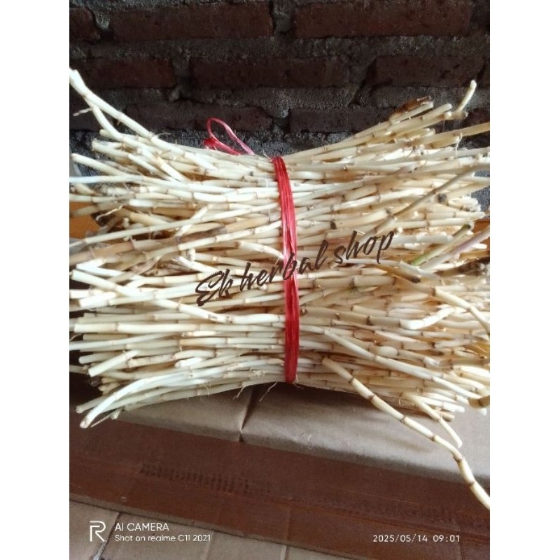 

RK Herbal Shop 1kg Akar Alang-alang Segar Atasi Batu Ginjal Ampuh Asli Alami Atasi Batu Ginjal