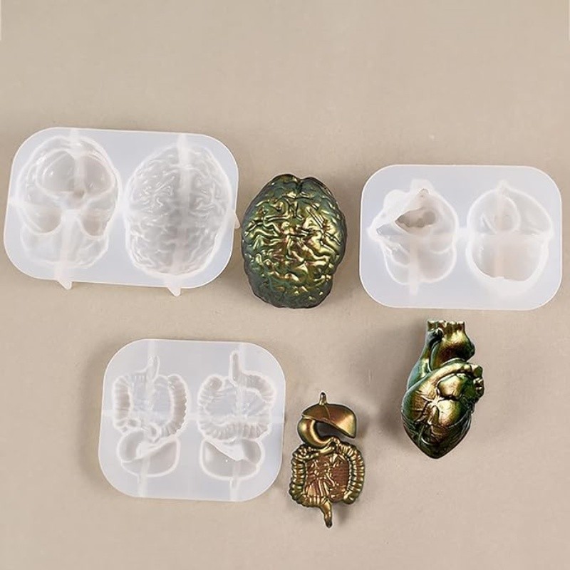 

DIY Crystal Epoxy Resin Mold Human Body Three-dimensional Viscera Brain Heart Silicone Mold