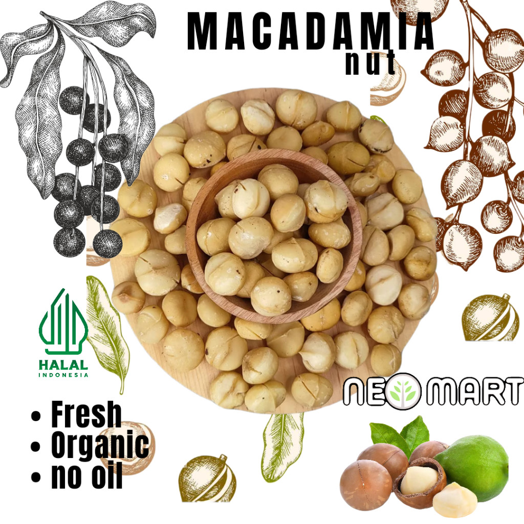 

100gr Kacang Macadamia Panggang / Macadamia Nut Premium - ROASTED