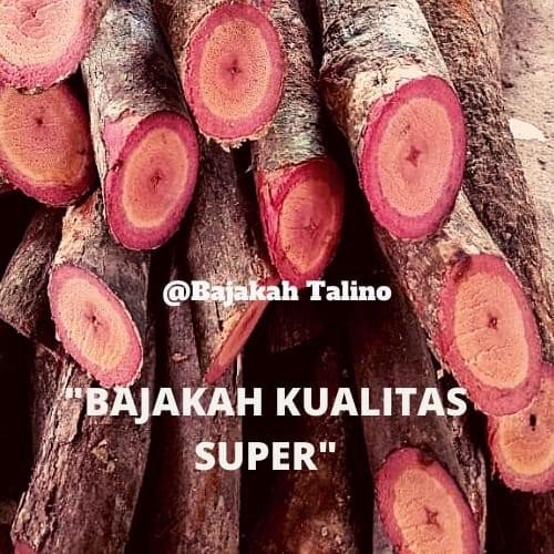 

Mumpung Murah Akar Bajakah/Bajakah Kalalawit Merah 100% Asli Kalimantan