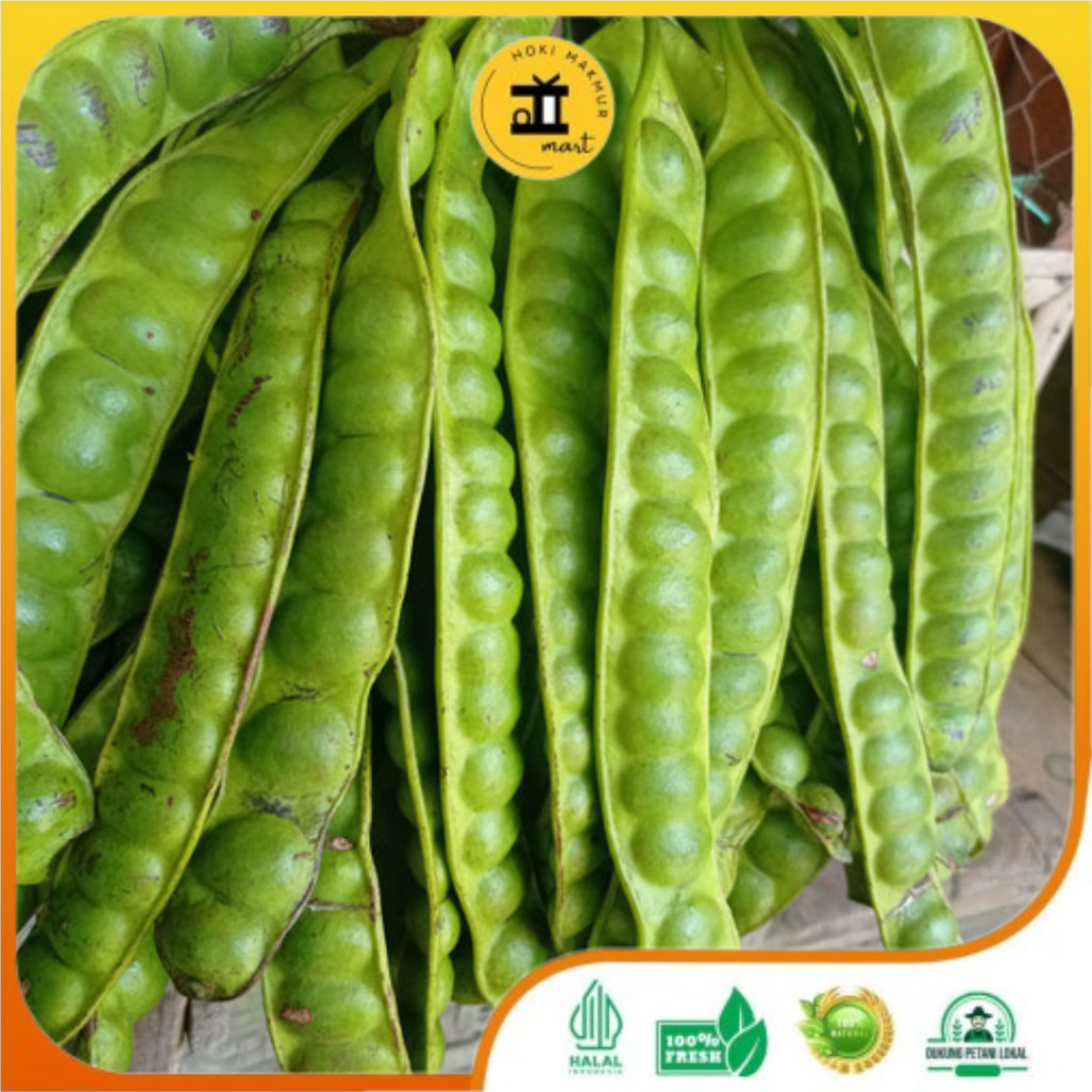 

BUAH PETAI 1 PAPAN PREMIUM | PETE PREMIUM 1 PAPAN