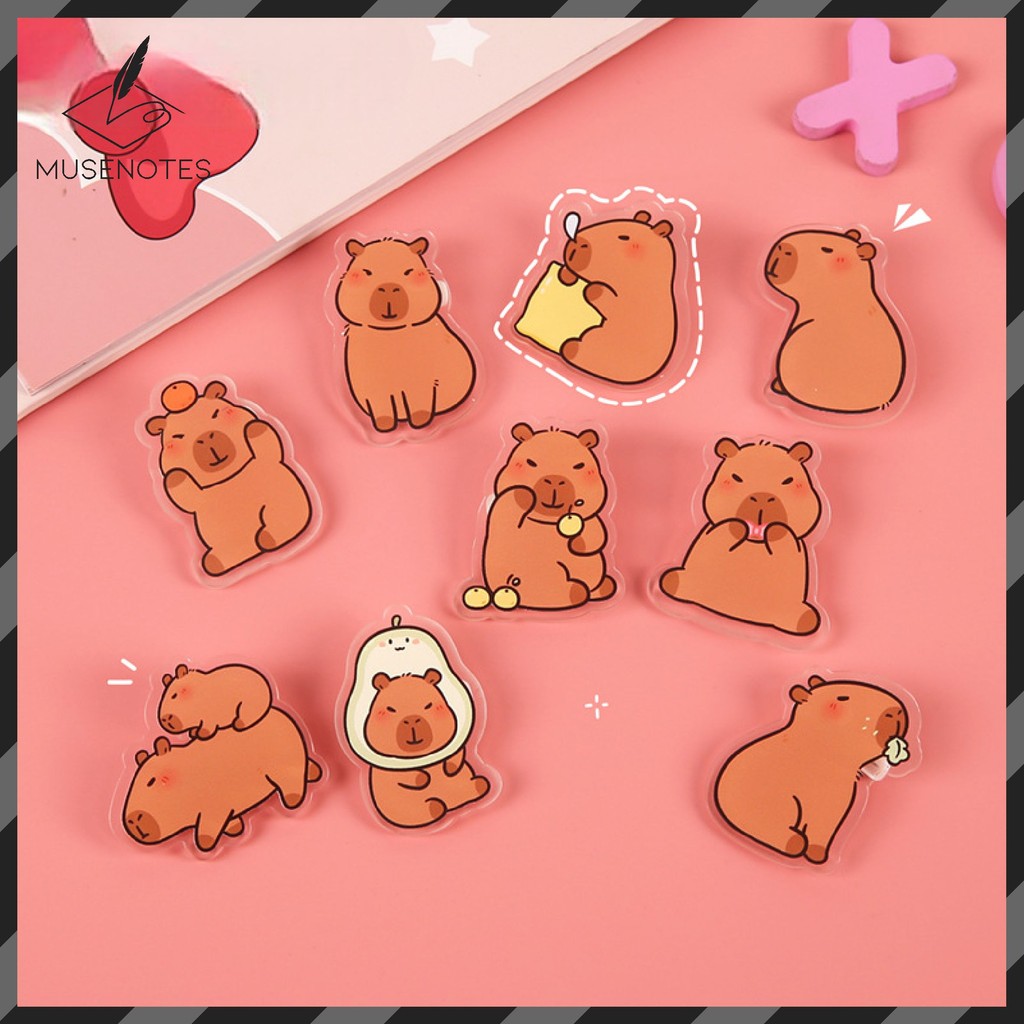 MUSES Pin Bros Kapibara Capybara Souvenir Gantungan Tas Bahan Akrilik Capy Brooch A-PN008