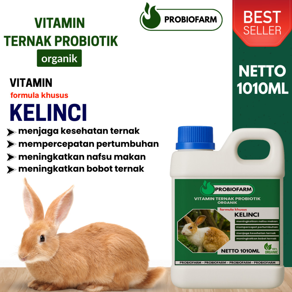 PROBIOFARM Vitamin Probiotik Vitamin Suplemen Kelinci Hias Anggora Fuzzy Lop Holland Netherland Dwar
