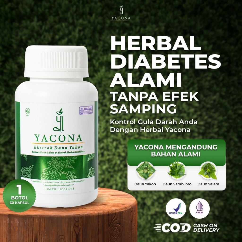 Yacona Kapsul Diabetes Obat Diabetes Herbal Menurunkan Gula Darah Tinggi Isi 60 Kapsul