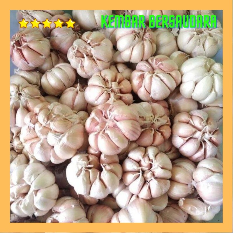 

bawang putih sinco 500 gram