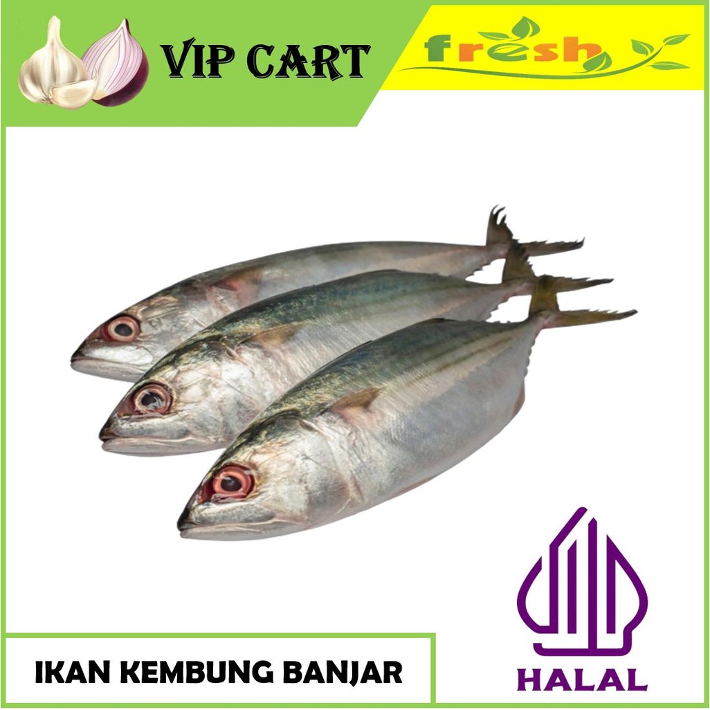 

IKAN KEMBUNG BANJAR 500 GRAM - IKAN SEGAR