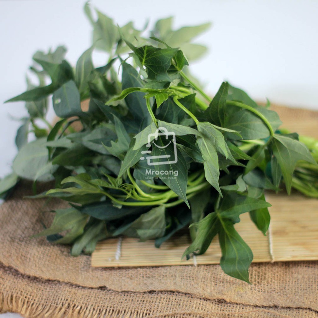 

OHI GelasKosong11 Daun umbi jalar ubi jalar umbi segar 500 gram
