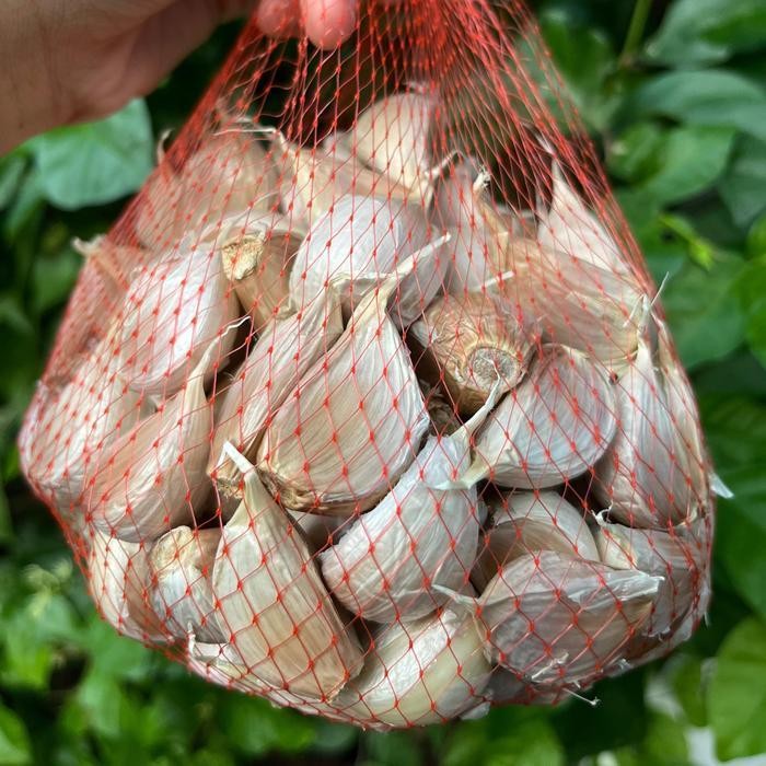 

BAWANG PUTIH KATING BESAR | BAWANG KATING BERSIH TANPA KULIT GRADE A - 500 GR