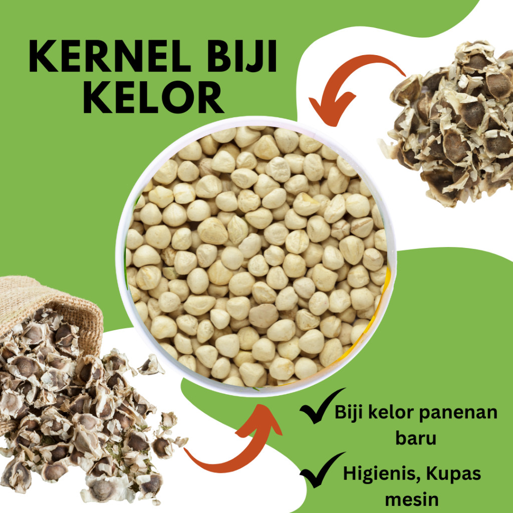 

Biji Kelor Kupas Organik Kernel Moringa Seeds Kualitas Export Premium Vacuum