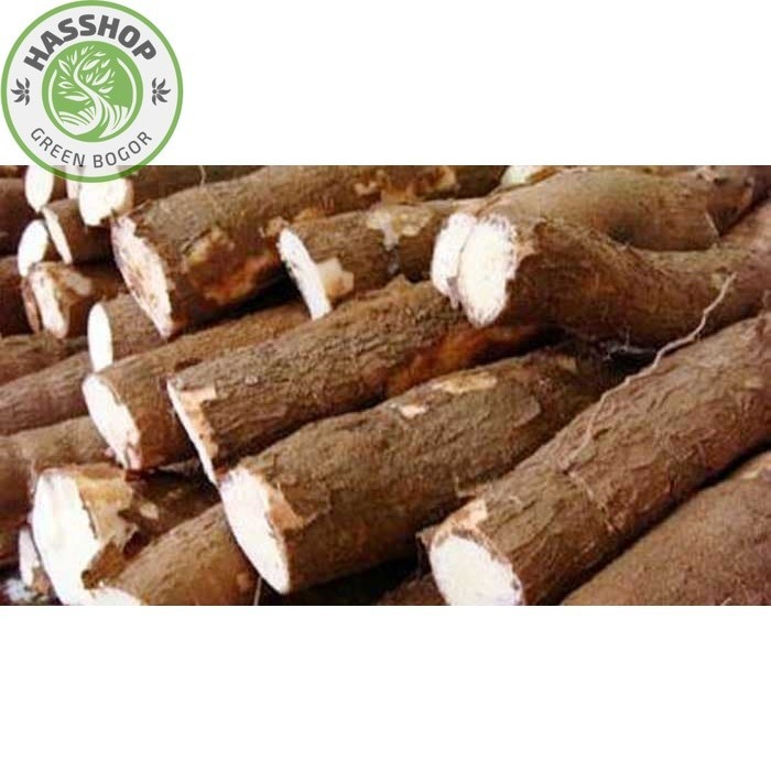 

Promo !!! Bisa (COD) Singkong Asli Bogor 1kg Empuk