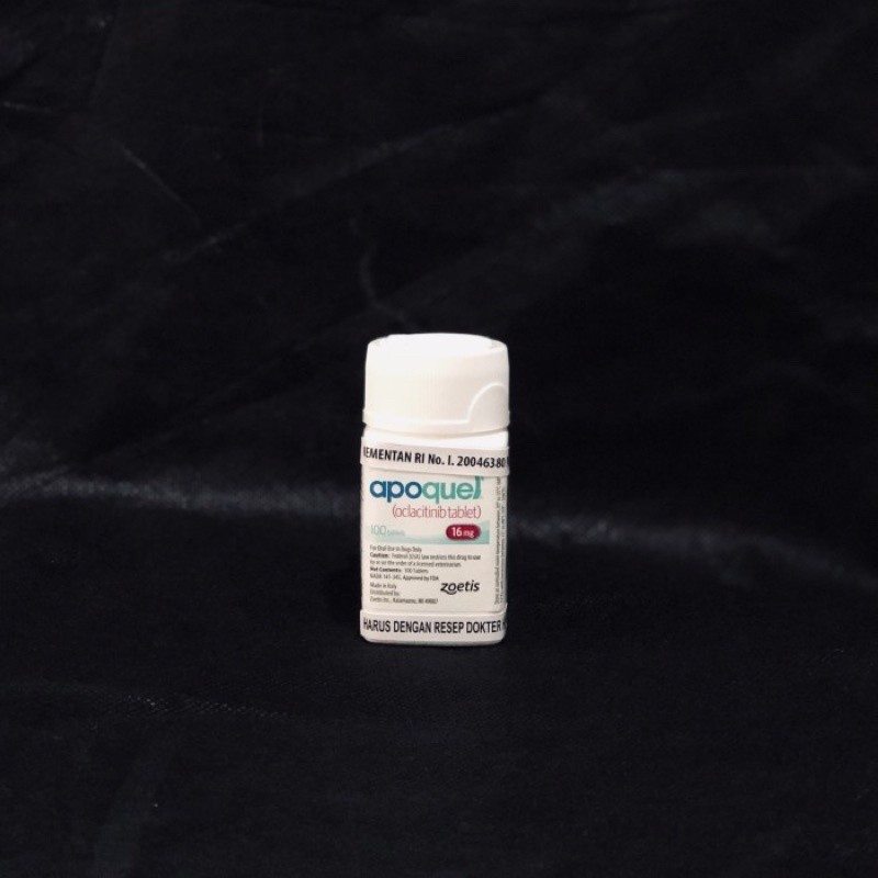 Apoquel Dog 16 MG (10 Tablet)