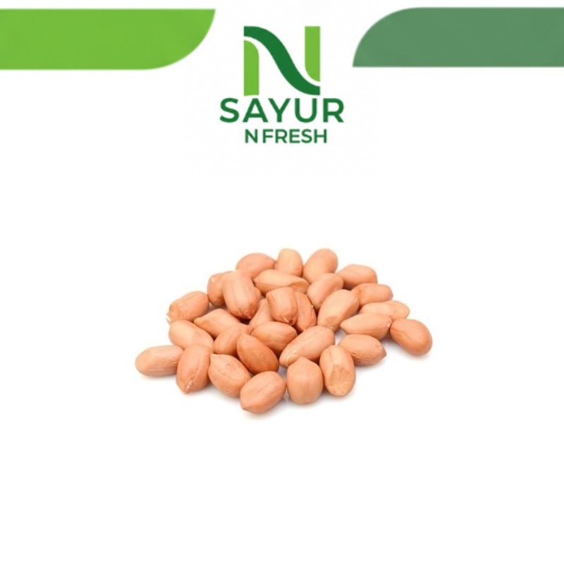 

KACANG TANAH