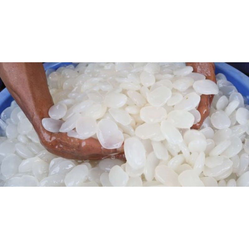 

BIG PROMO TURUN HARGA (ready) KOLANG KALING MENTAH (fresh) 1KG ready