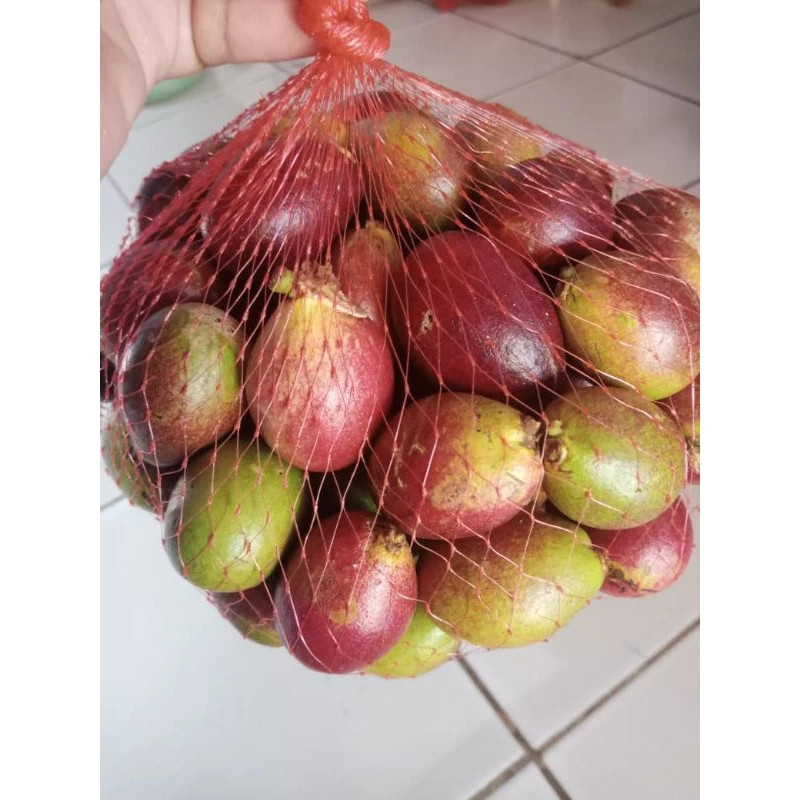 

Buah matoa fresh 1kg / Buah matoa segar 1kg