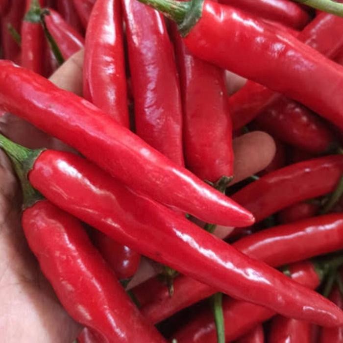 

Cabai Merah Besar 500gr