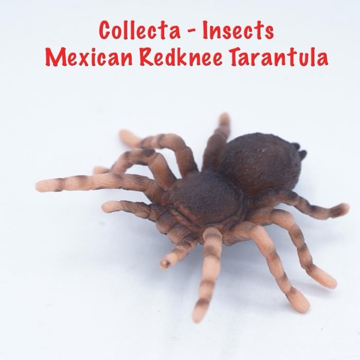 Collecta A1106 Mini Insect & Spider | Mexican Redknee Tarantula Laba Laba Lutut Merah Brachypelma ha