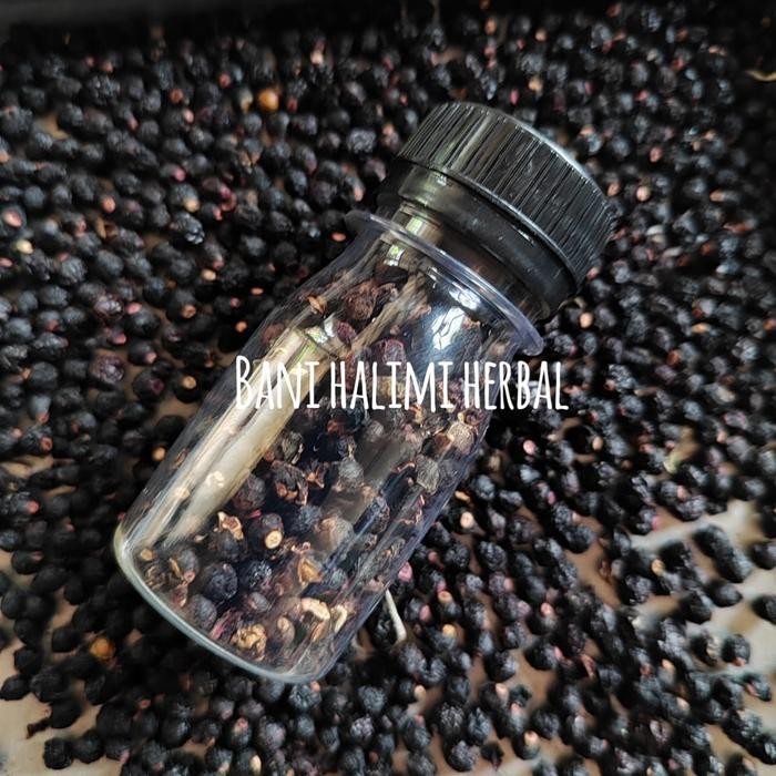 

Buah Angkung Kering Organik Obat Herbal Stroke 500 Biji Bonus 20 Biji ready