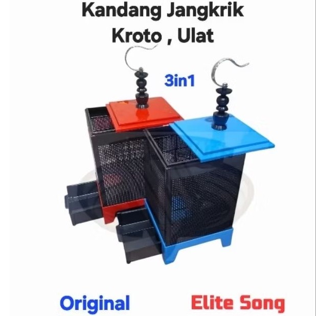 Kandang Jangkrik , Kroto dan Ulat Elite Song