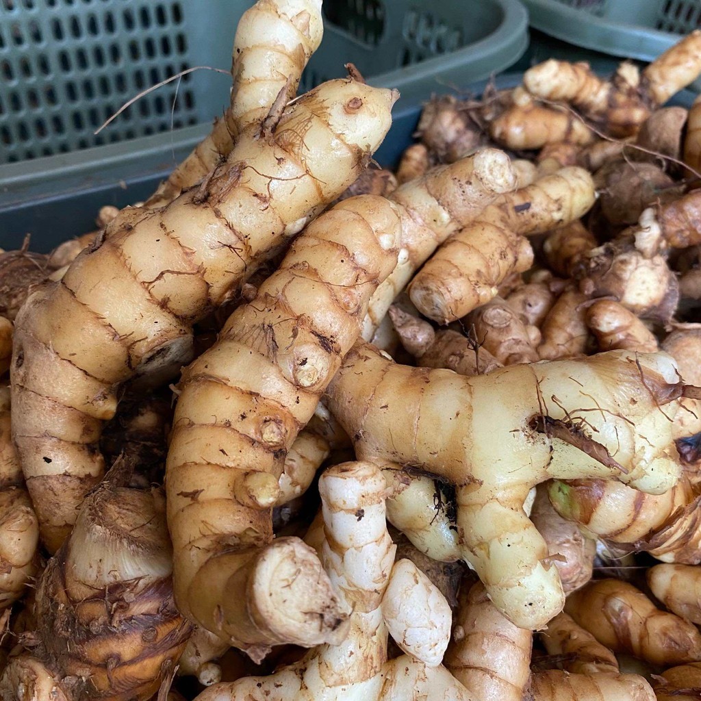 

Stok ready kunyit putih segar murah 500gr Silahkan diorder