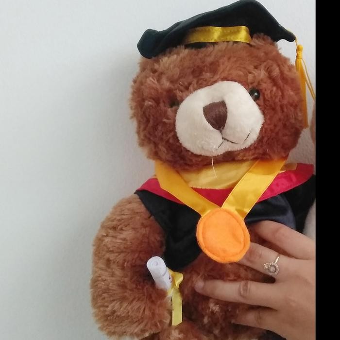 RAZZ Teddy Bear - Boneka Graduation - Boneka Wisuda - TogaHitam 10"BW
