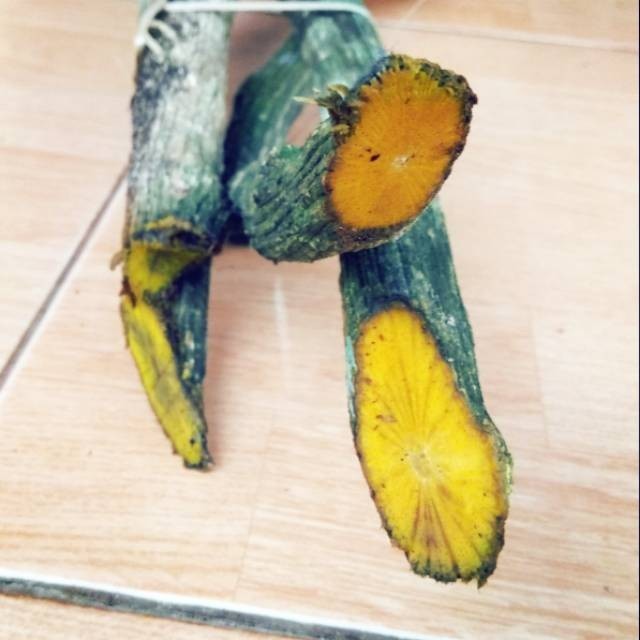 

OHI Ki koneng Basah Segar 500gr Kikuning Arcangelisia Flava (L.)
