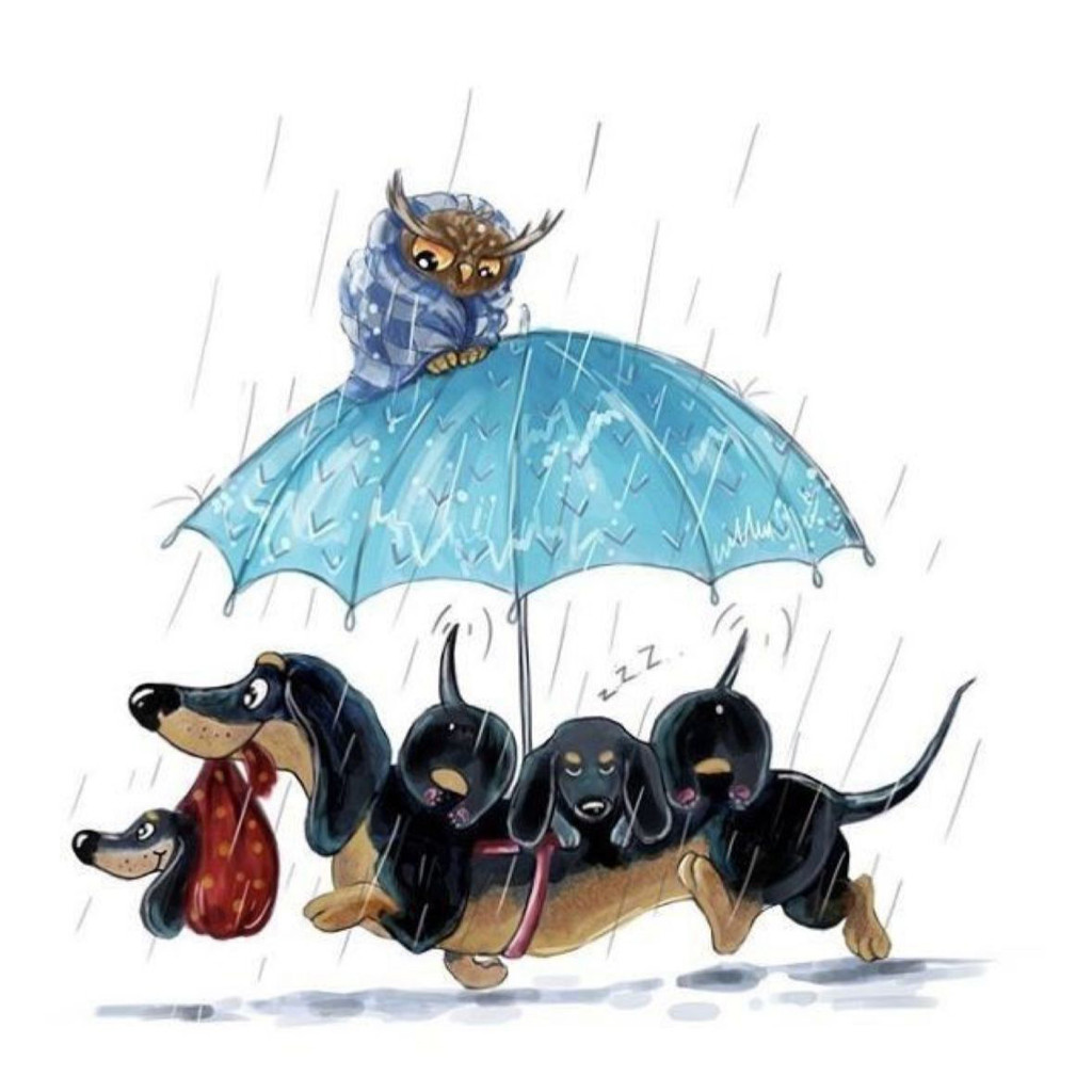 

Animal Dog Transparent Silicone Rubber Stamp and Die Sheet Cling Scrapbooking DIY Cute Pattern Photo Album