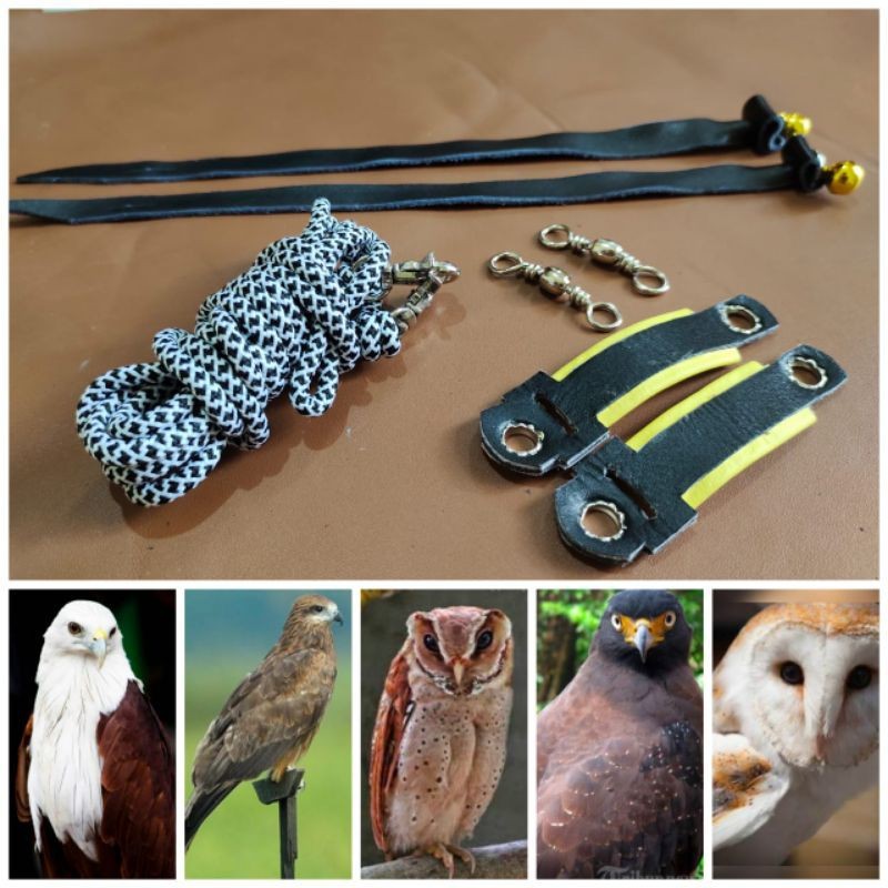 angklet motif elang/burung hantu tyto alba/bondol/obay/black kite/bido/obay