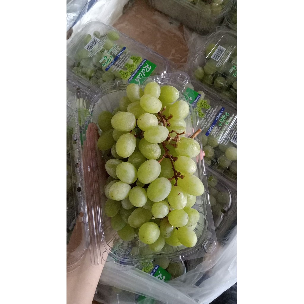 

Anggur Auntum Hijau 800-900gr