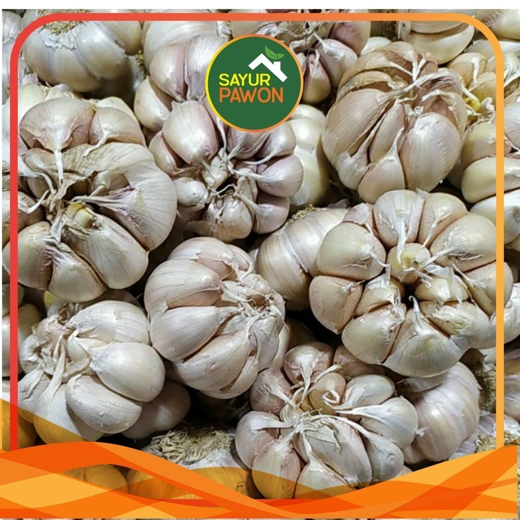 

Bawang Putih Utuh per Kilogram