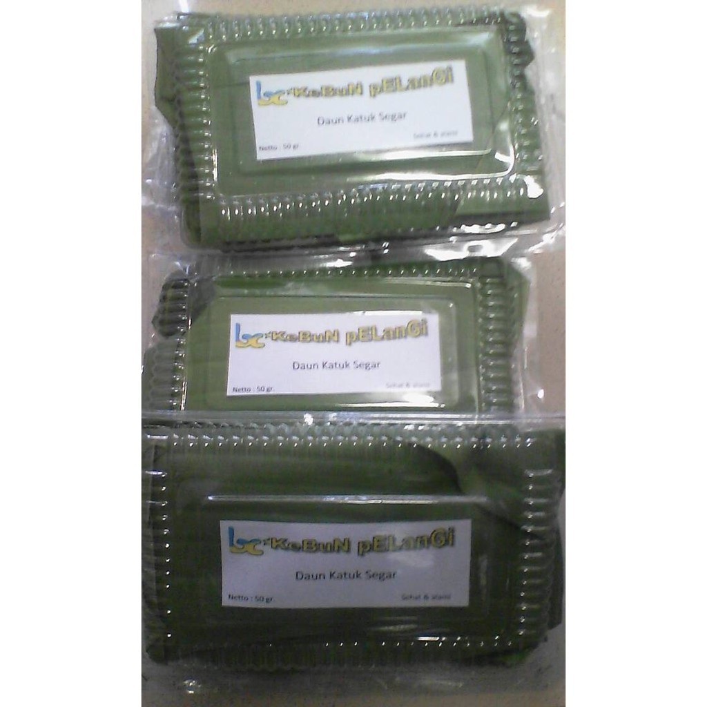 

OHI Daun katuk segar KC