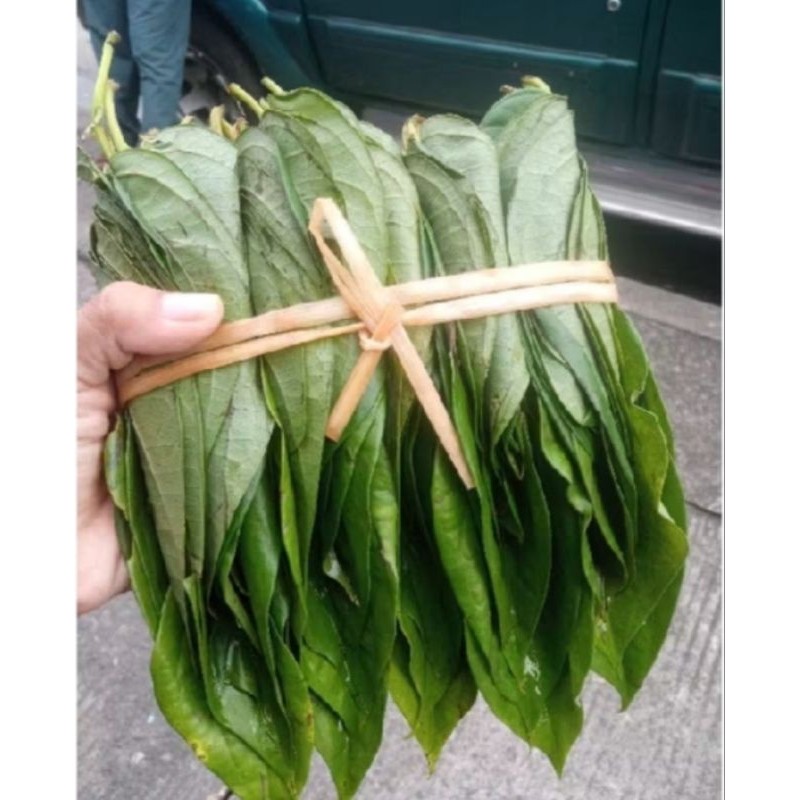 

new.. daun sirih hijau herbal 100 gram