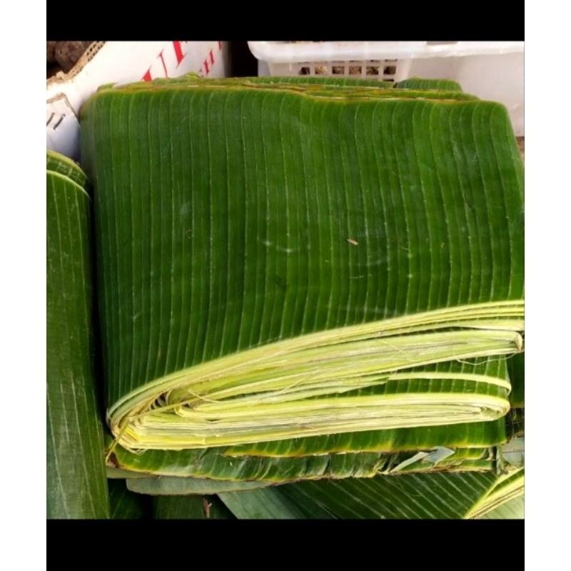 

Daun pisang segar 1kg terlaris