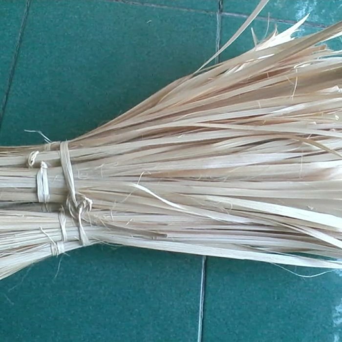 

Baru New Promo Tali Bambu Untuk Bacang DLL 50 pcs ML plant