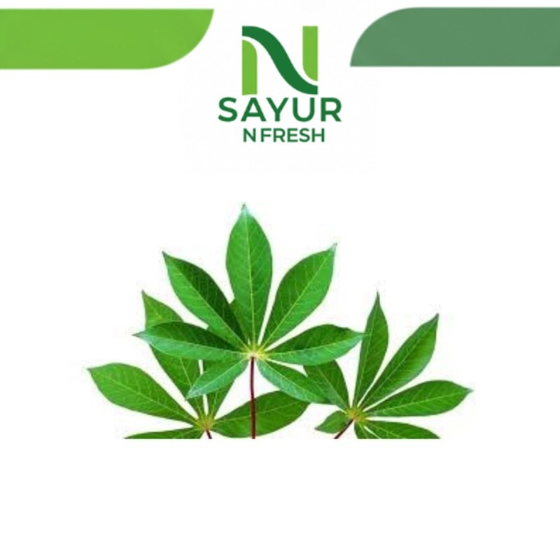 

DAUN SINGKONG 1 IKAT