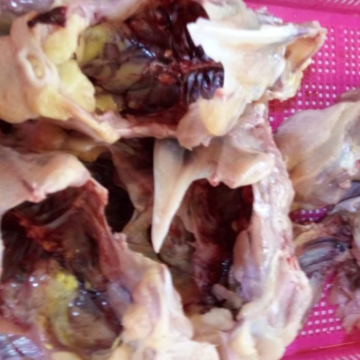

Tulang Ayam 1 kg