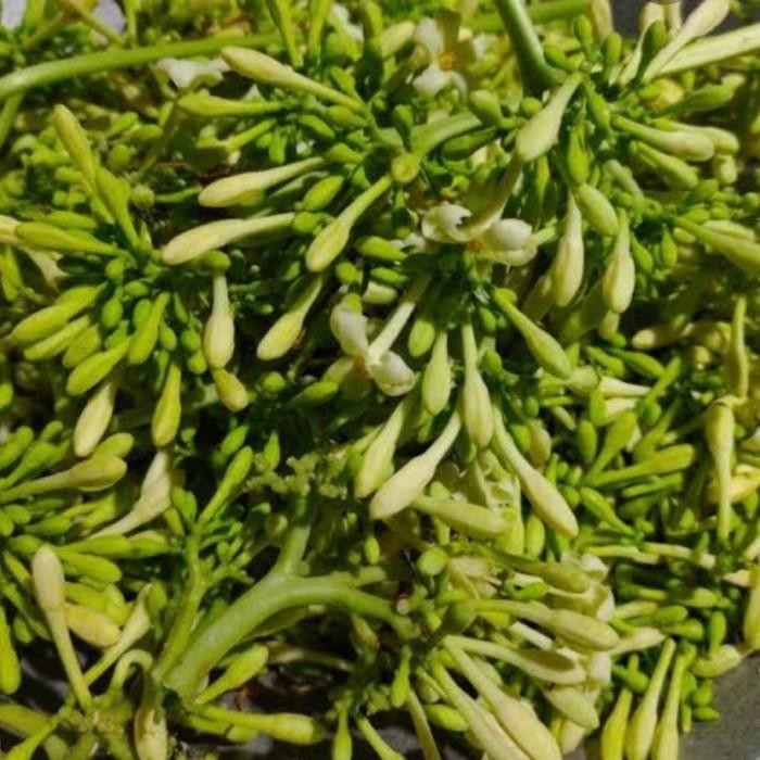 

Kembang Pepaya 500gr