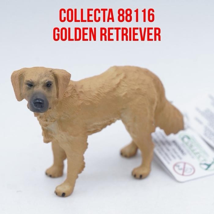 Collecta 88116 Golden Retriever Dog Anjing Mainan Binatang Miniature Hewan Animal Figurine Pajangan 