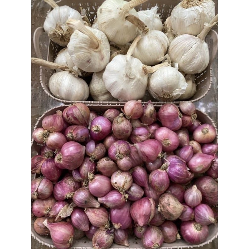 

Paket Bamer Sedang 750gr + Baput Sinco 250gr TERMURAH (B)