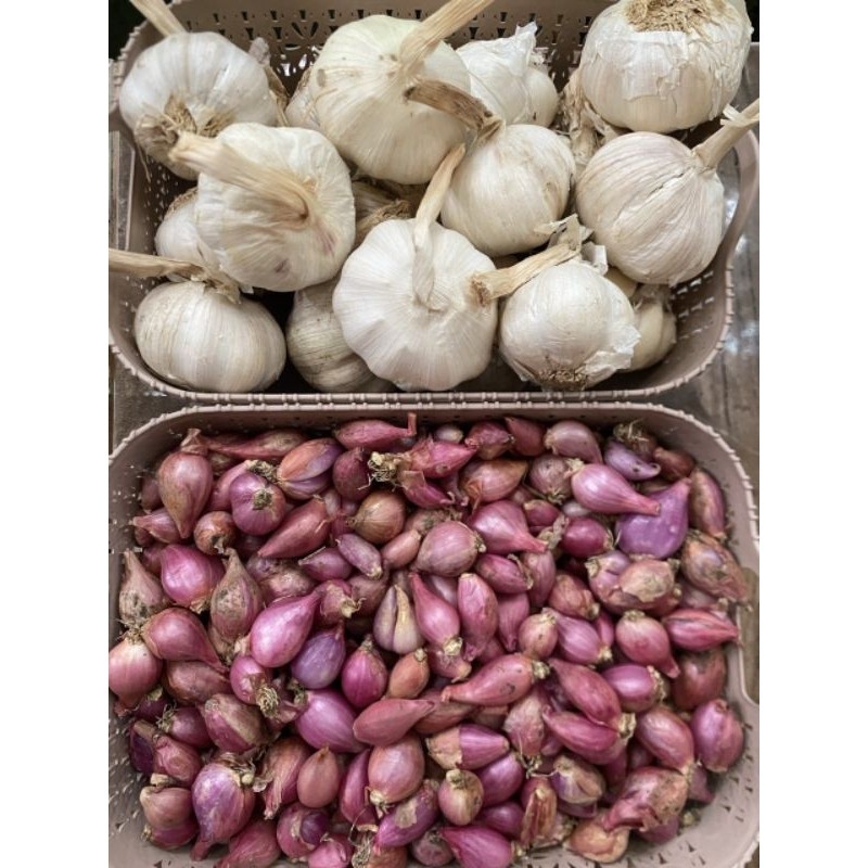 

paket bamer kecil 750gr baput sinco 250gr (total 1kilo) TERMURAH!!! (A)