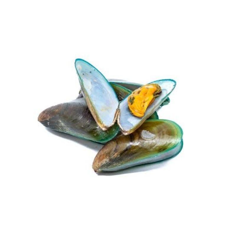 

KERANG HIJAU KULIT - IKAN SEGAR