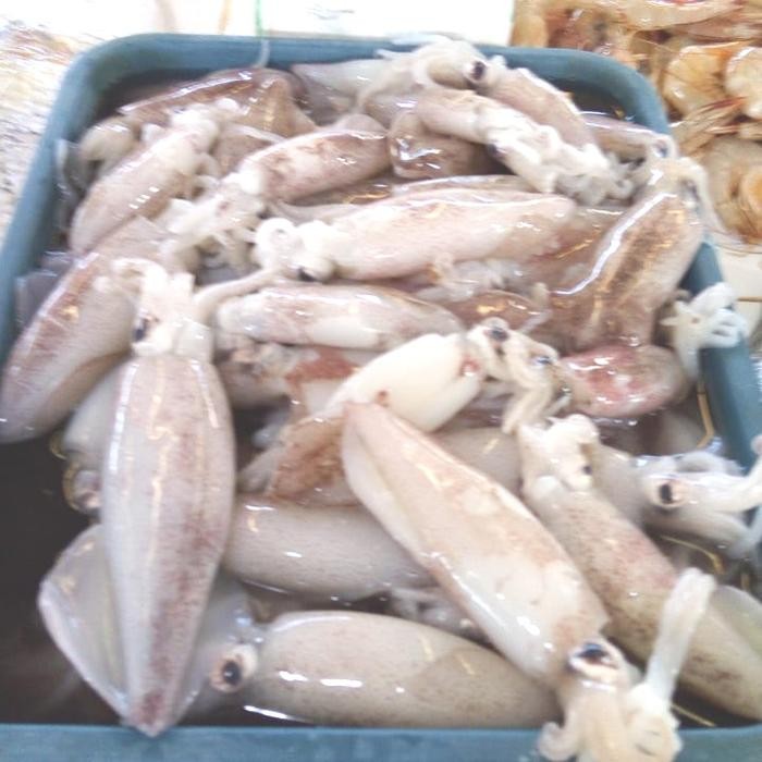 

Cumi Serok 500gr