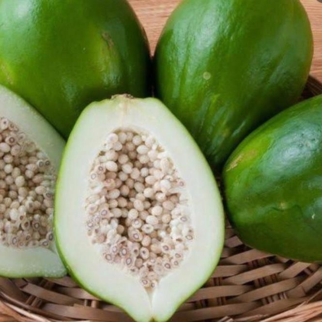 

Pepaya Mentah 500gr