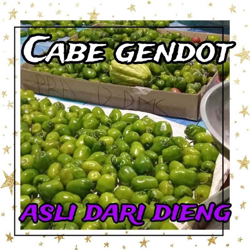 

READY TERMURAH CABE GENDOT 250gr asli Dieng