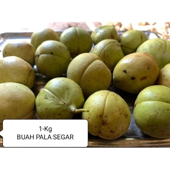 

1-Kg Buah Pala Segar / Buah Pala Tua / Buah Pala ready .