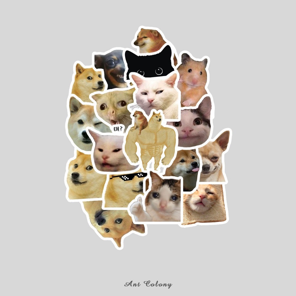 

Stiker Pack Memes Sticker Vinyl Laminasi Doff Glosy | Sticker Meme Doge Salad Cat
