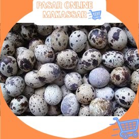 

Telur Puyuh Per Biji